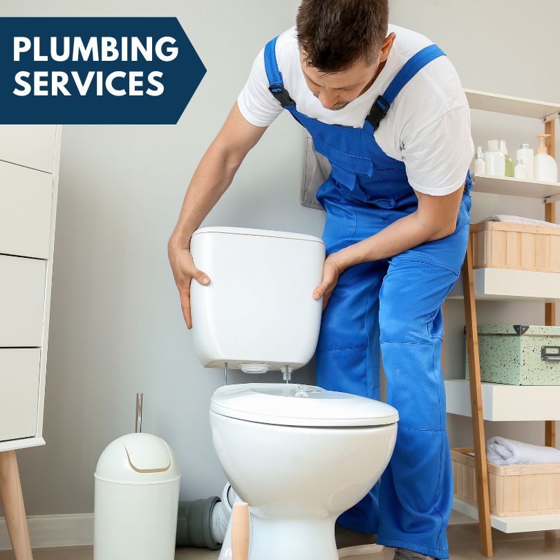 Plumbing Company in Brown City, MI